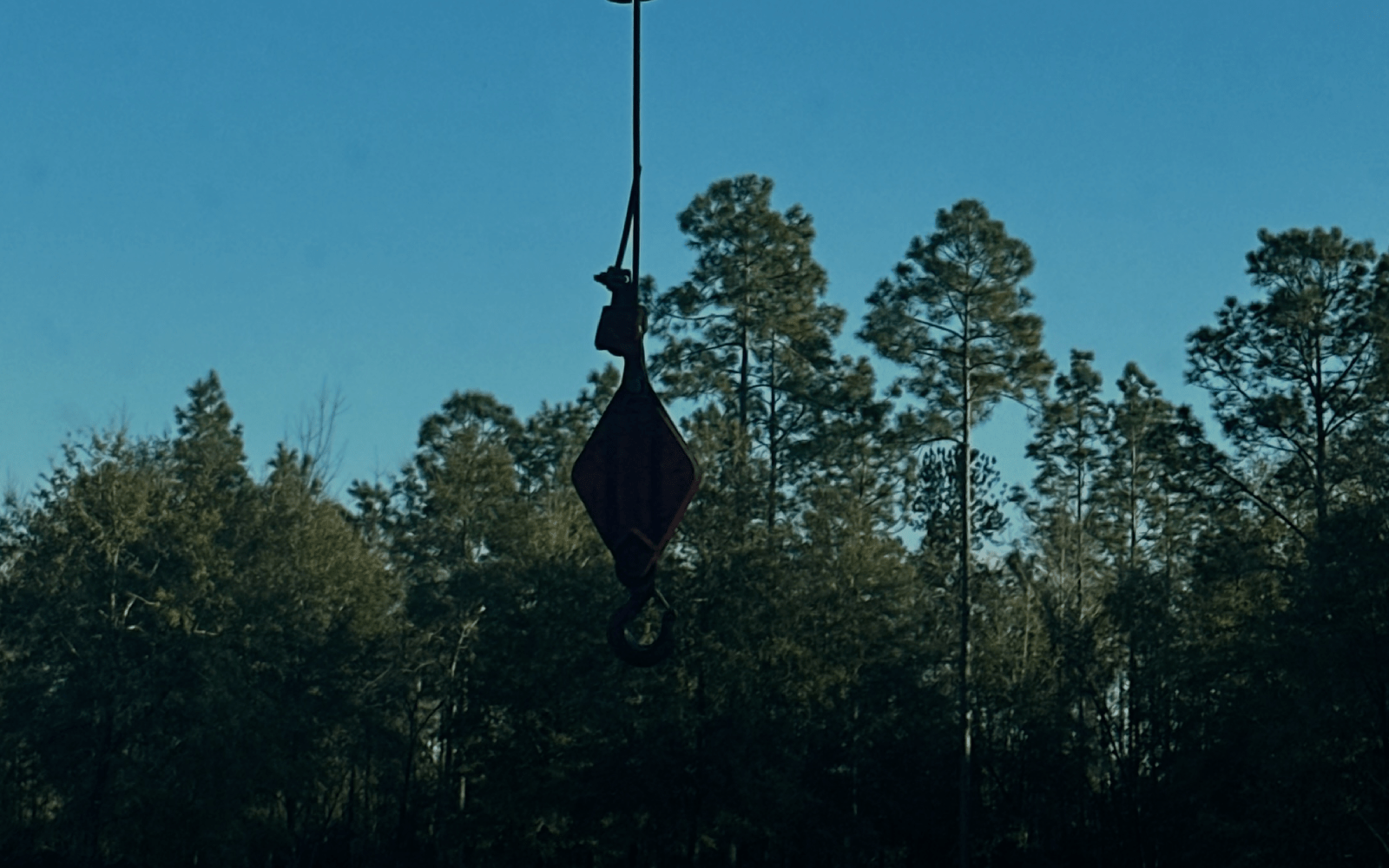 Crane Rental